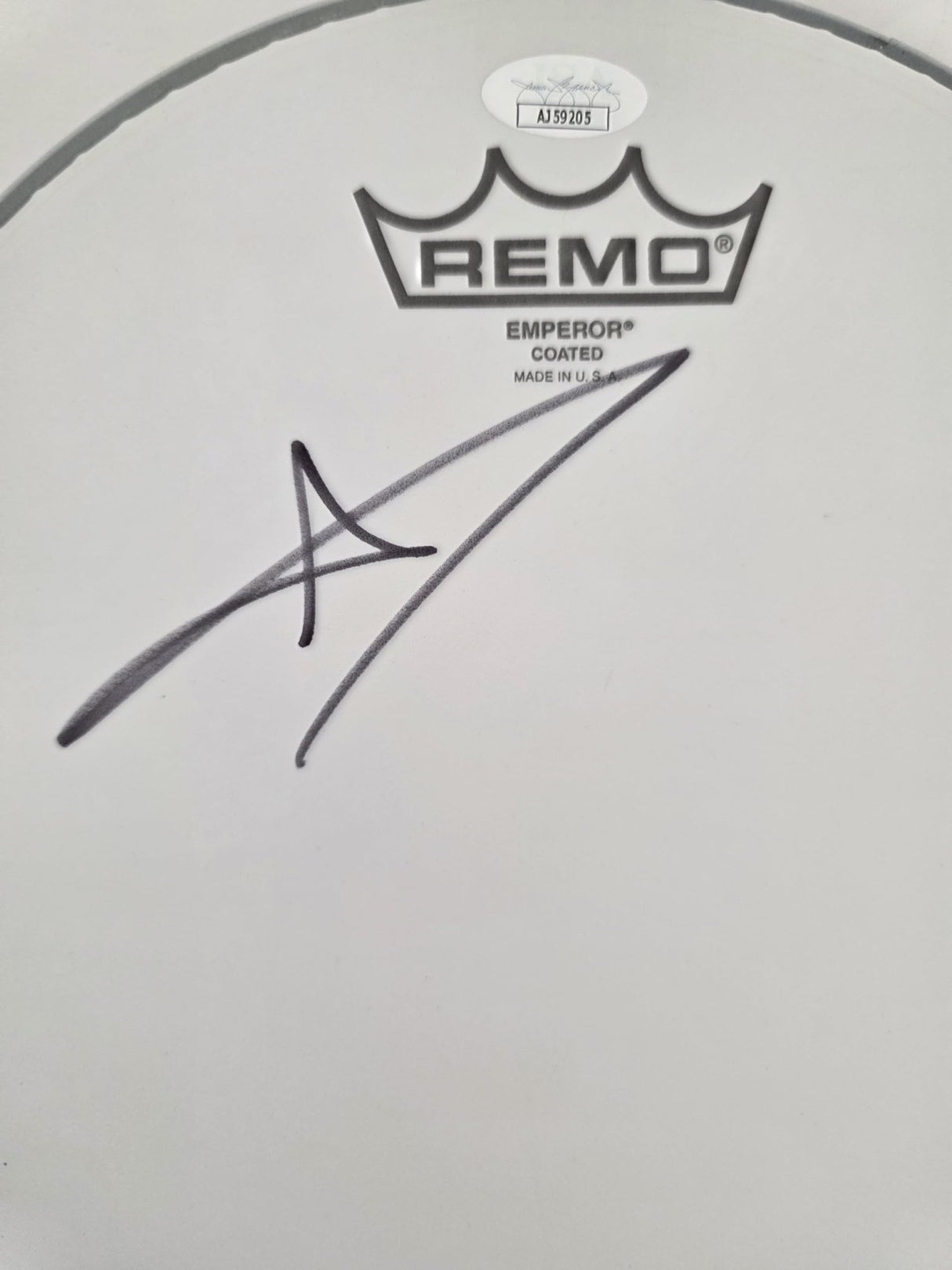 Andy Hurley Fall Out Boy Drummer Signed Drumhead JSA COA Autographed