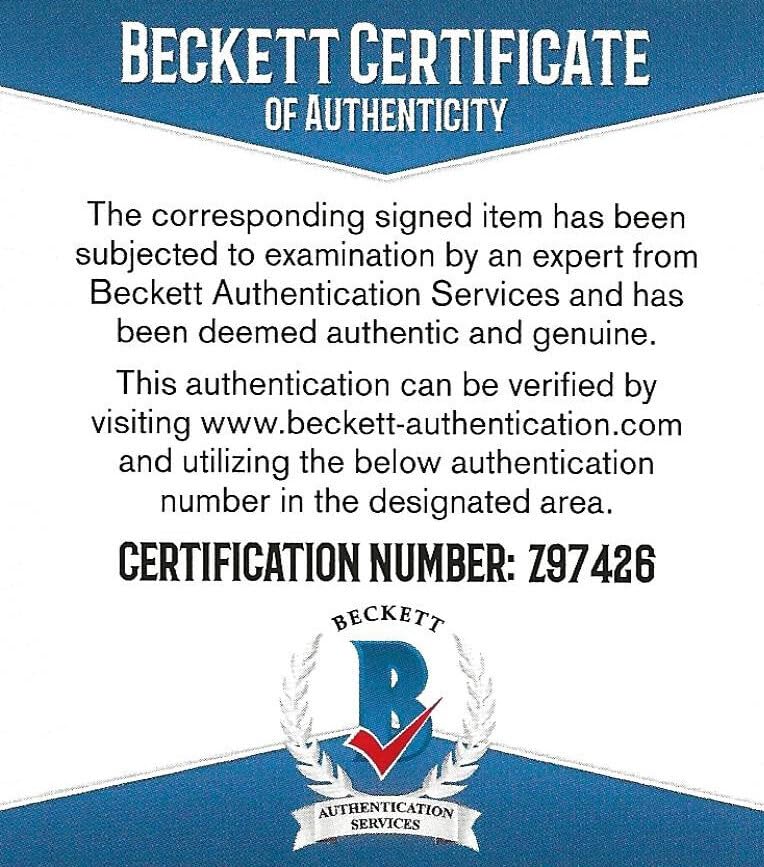 Willa Ford Model singer actress signed 8x10 photo Beckett COA proof autographed