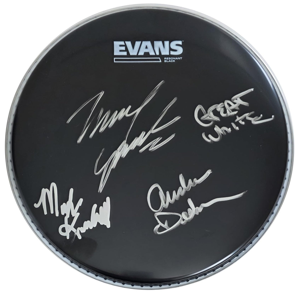 Great White Band Signed 10'' Drumhead COA Exact Proof Autographed Rock Band