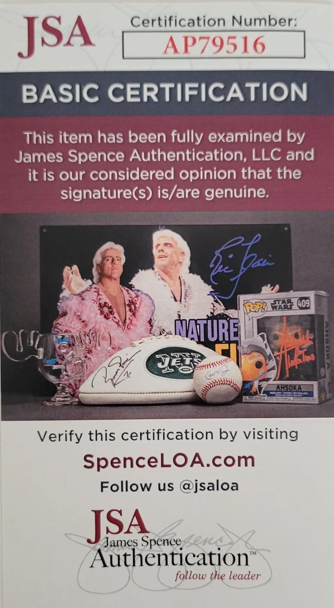 Danny Carey Tool Drummer Signed Vic Firth Signature Drumstick COA Proof Autographed Star