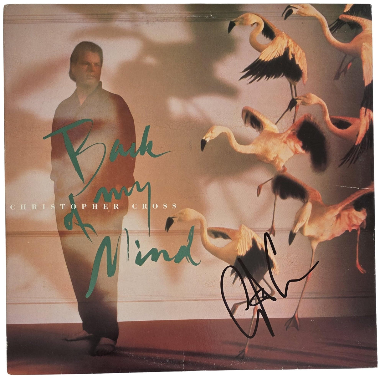 Christopher Cross Signed Back of My Mind Album COA Exact Proof Autographed Vinyl Record Sailing