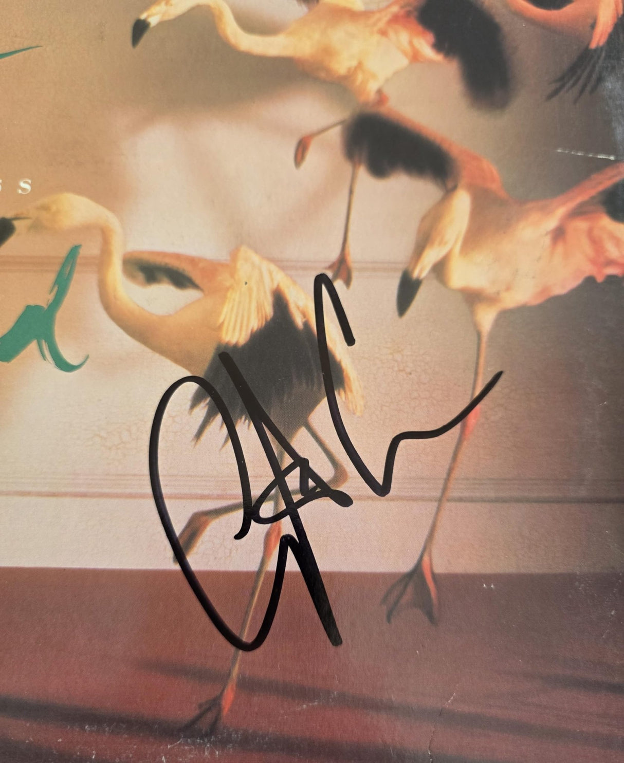 Christopher Cross Signed Back of My Mind Album COA Exact Proof Autographed Vinyl Record Sailing