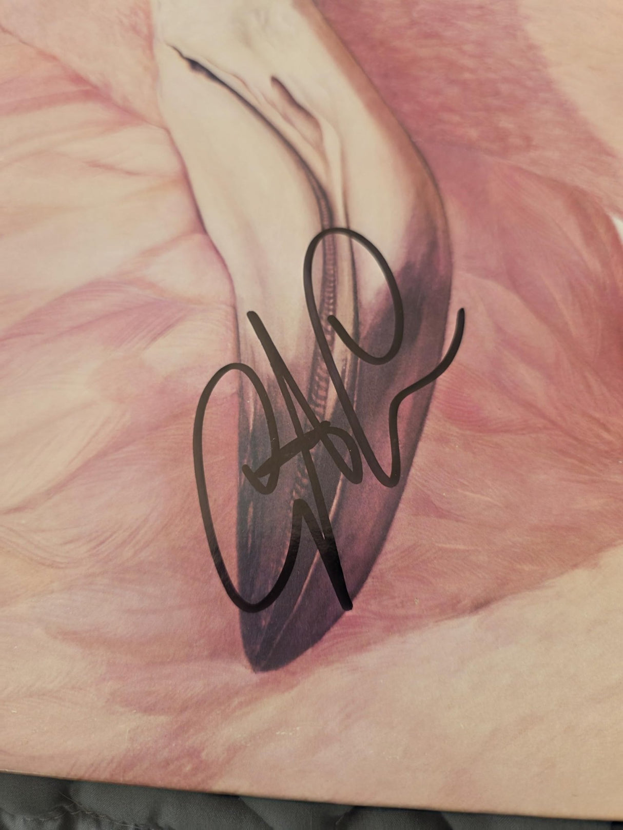 Christopher Cross Signed Another Page Album COA Proof Autographed Vinyl Record