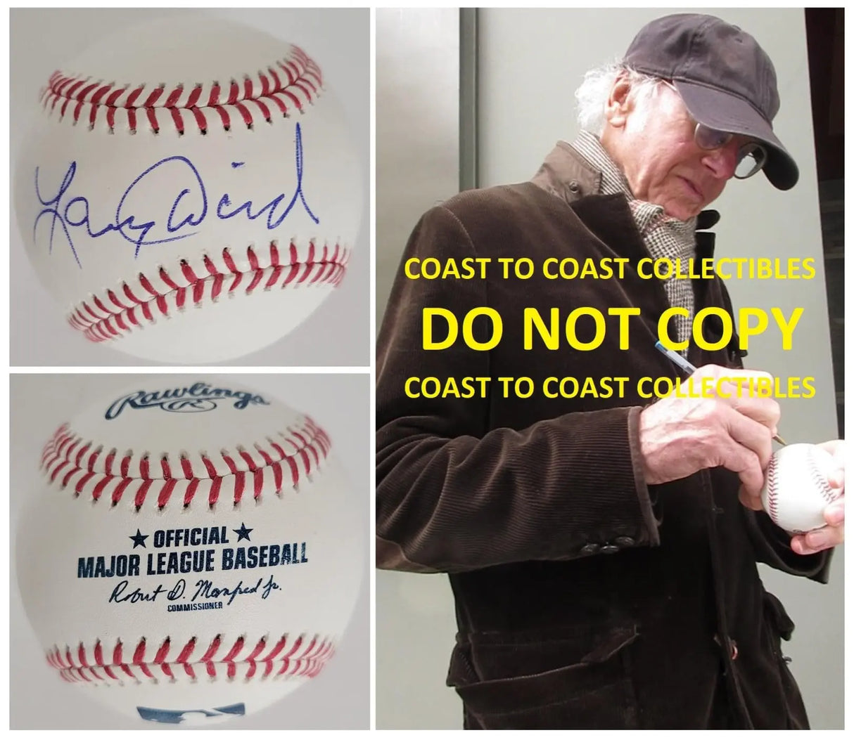 Larry David Signed Baseball COA Proof Autographed Seinfeld Curb Your Enthusiasm Star