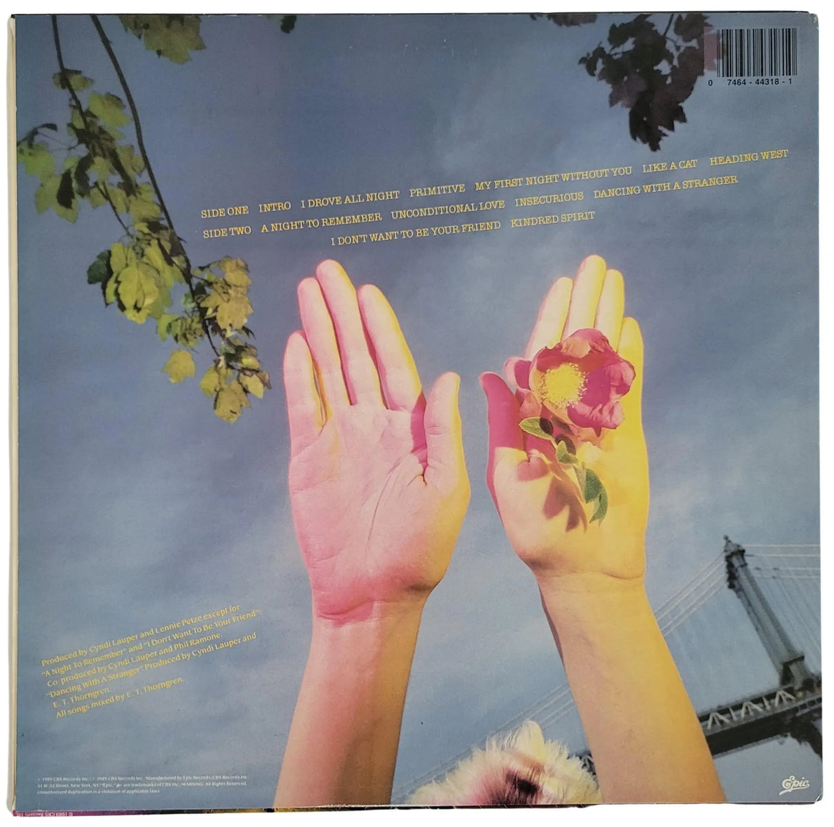 Cyndi Lauper Signed A Night to Remember Album COA Proof Autographed Vinyl Record STAR