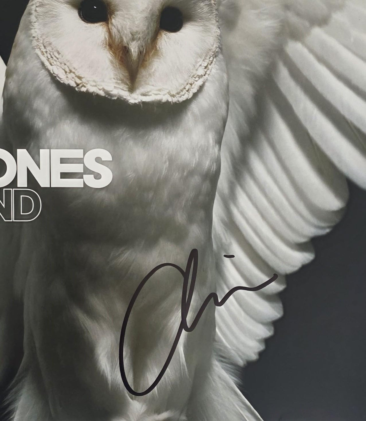 Chino Moreno Signed Deftones Diamond Eyes Album Proof Autographed Vinyl Record