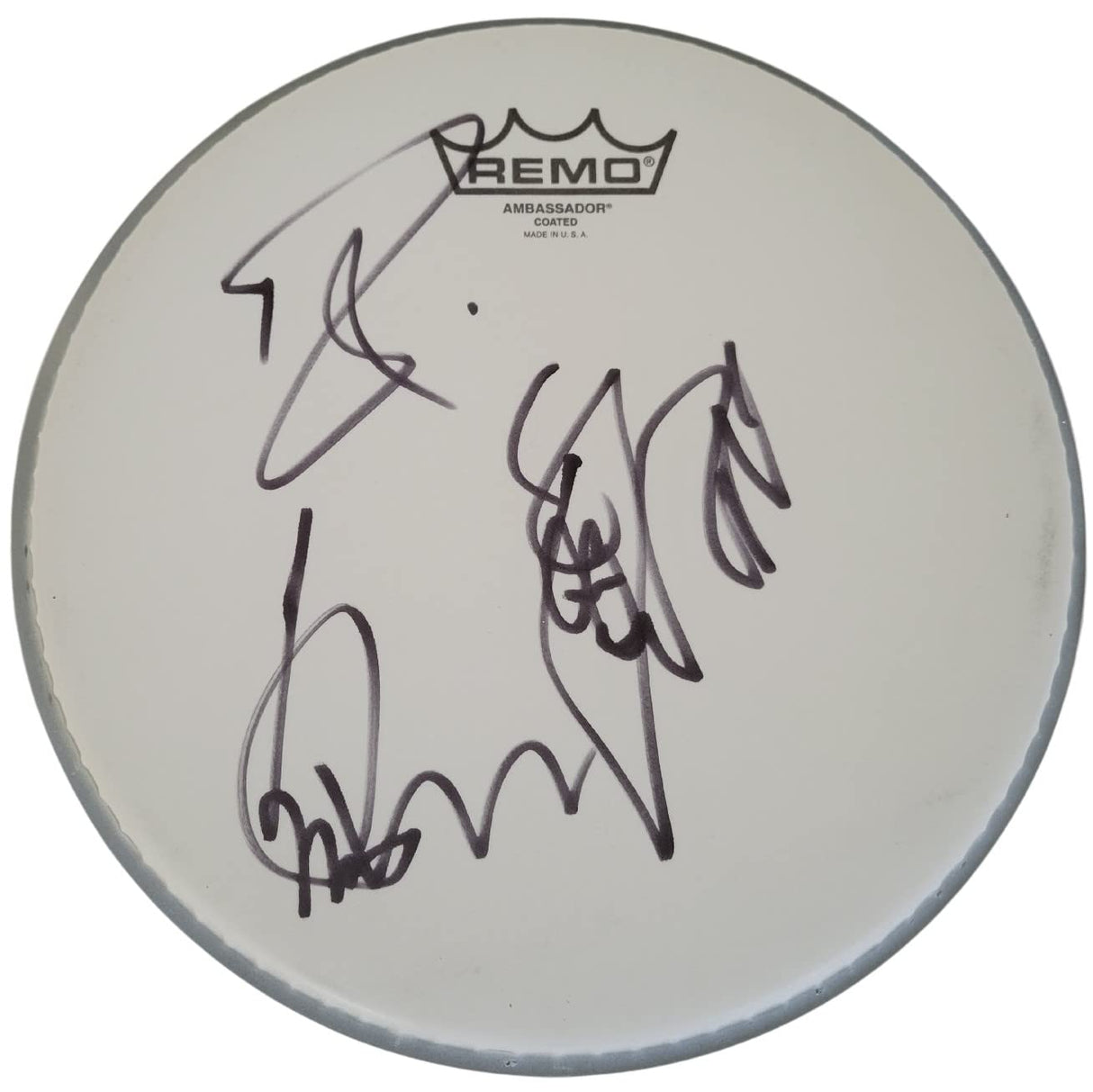 Cheap Trick band signed 8'' Drumhead COA proof Robin Zander,Rick Nielsen,Tom Peterson star