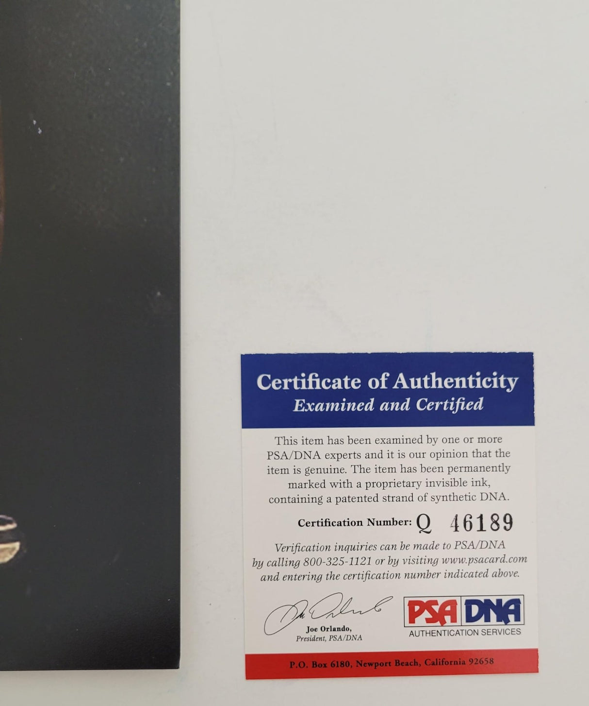 James Cameron Signed 11x14 Photo COA Proof Autographed Terminator Titanic Avatar..STAR