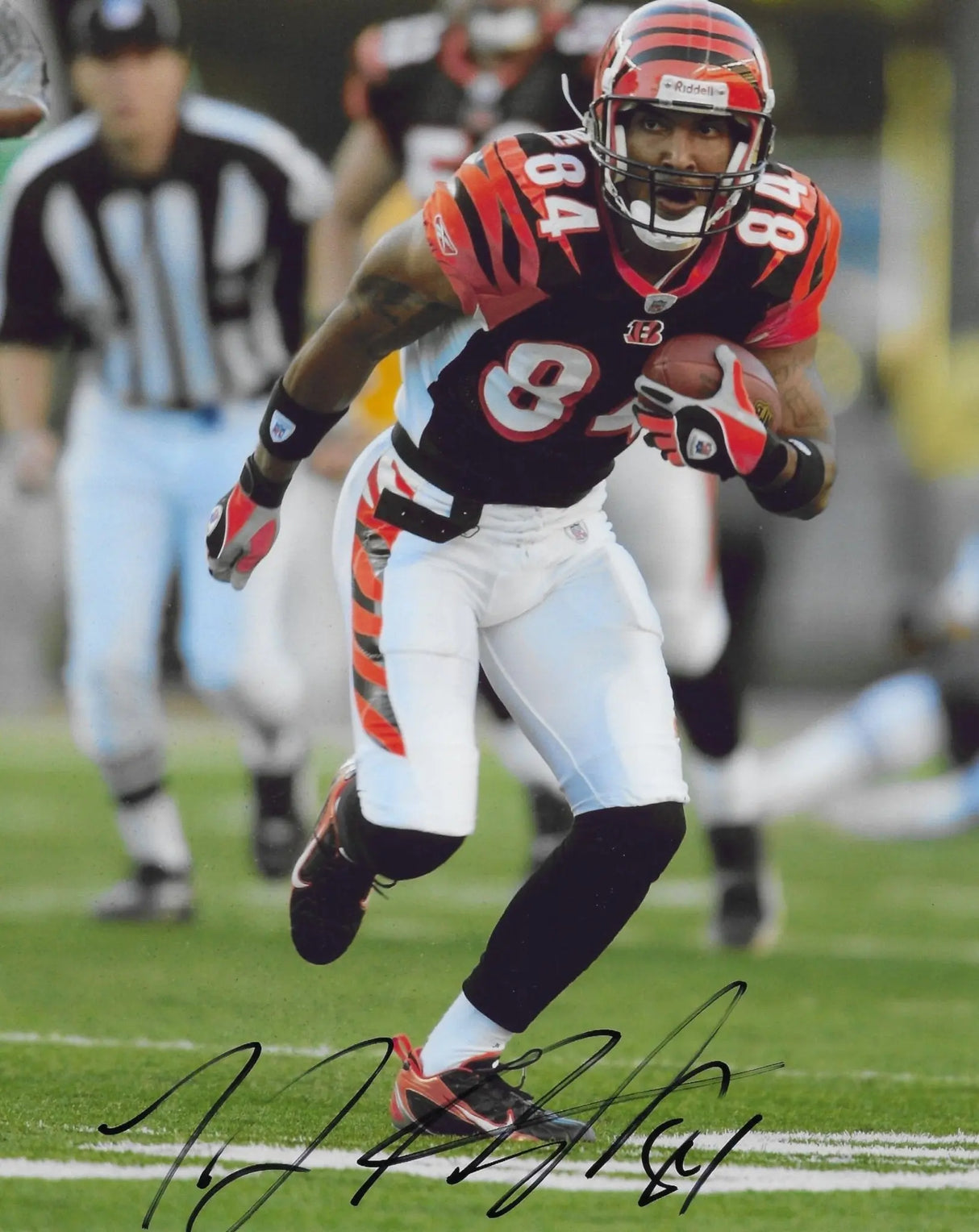 TJ Houshmandzadeh signed Cincinnati Bengals 8x10 football photo Proof COA autogarphed,