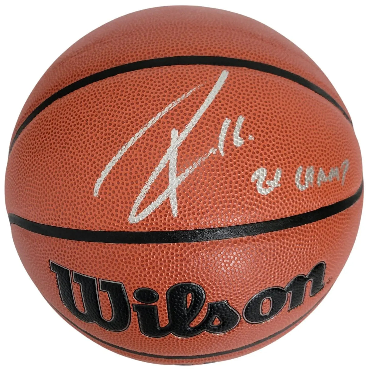 Pau Gasol Signed Basketball COA Proof Autographed LA Lakers Bulls Spurs