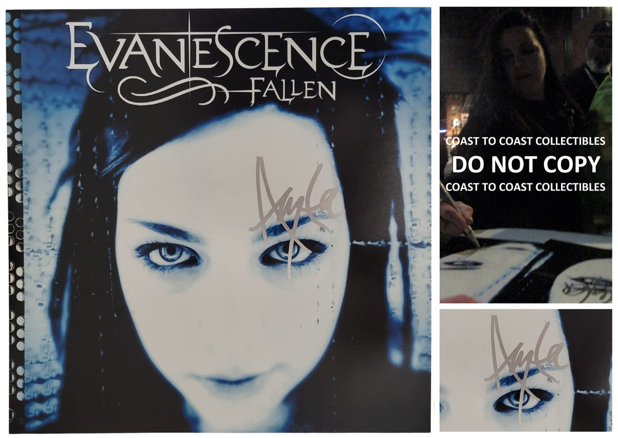 Amy Lee signed Evanescence Fallen 12x12 Photo COA exact proof autographed STAR