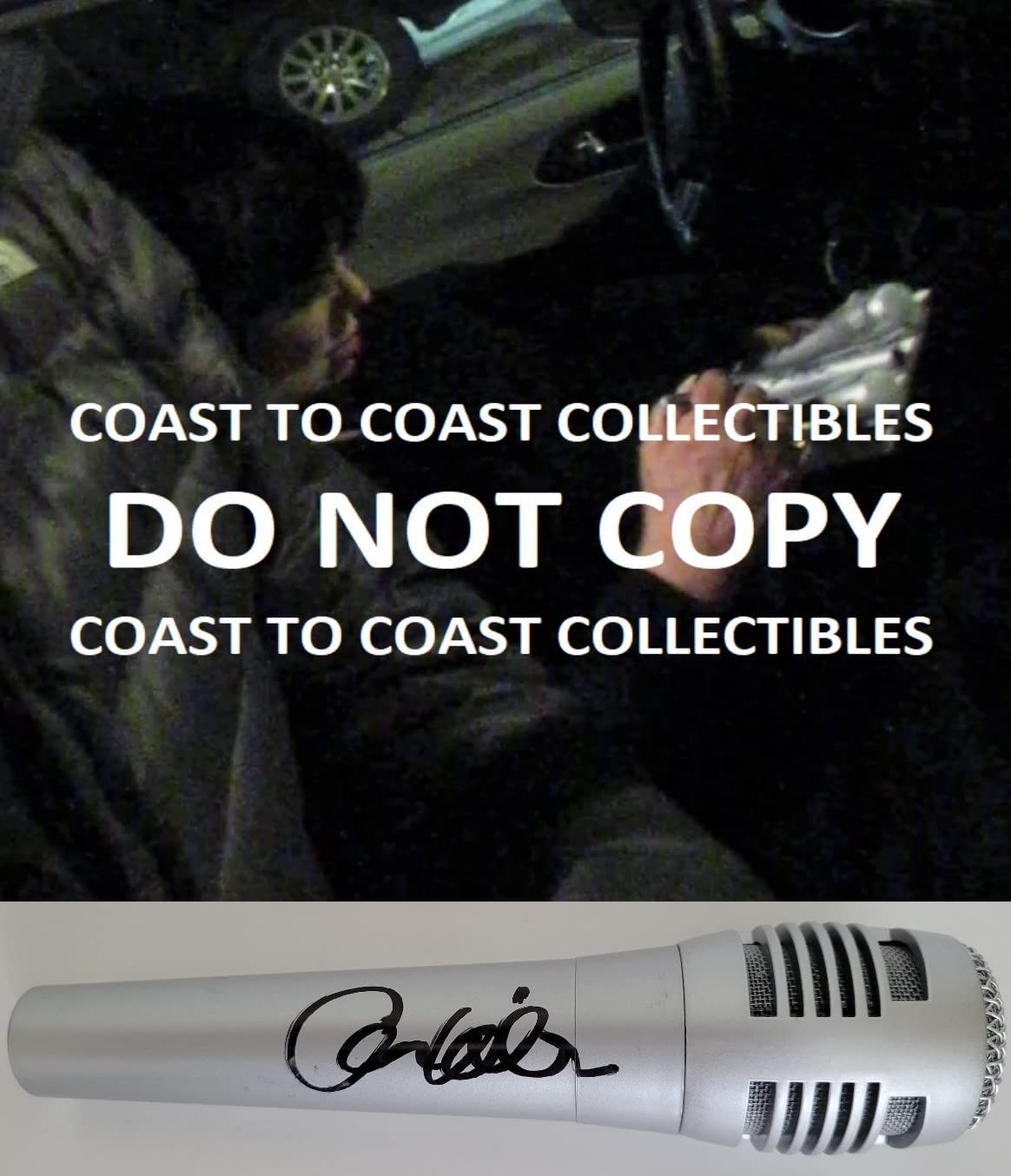 Ann Wilson lead singer Heart signed microphone COA exact proof autographed Mic STAR