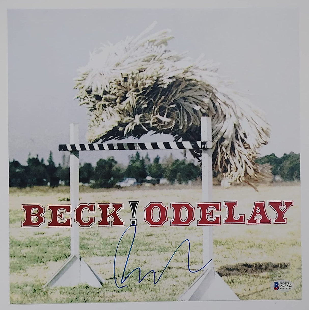 Beck Hansen signed Beck! Odelay 12x12 album photo Proof Beckett COA autograph STAR