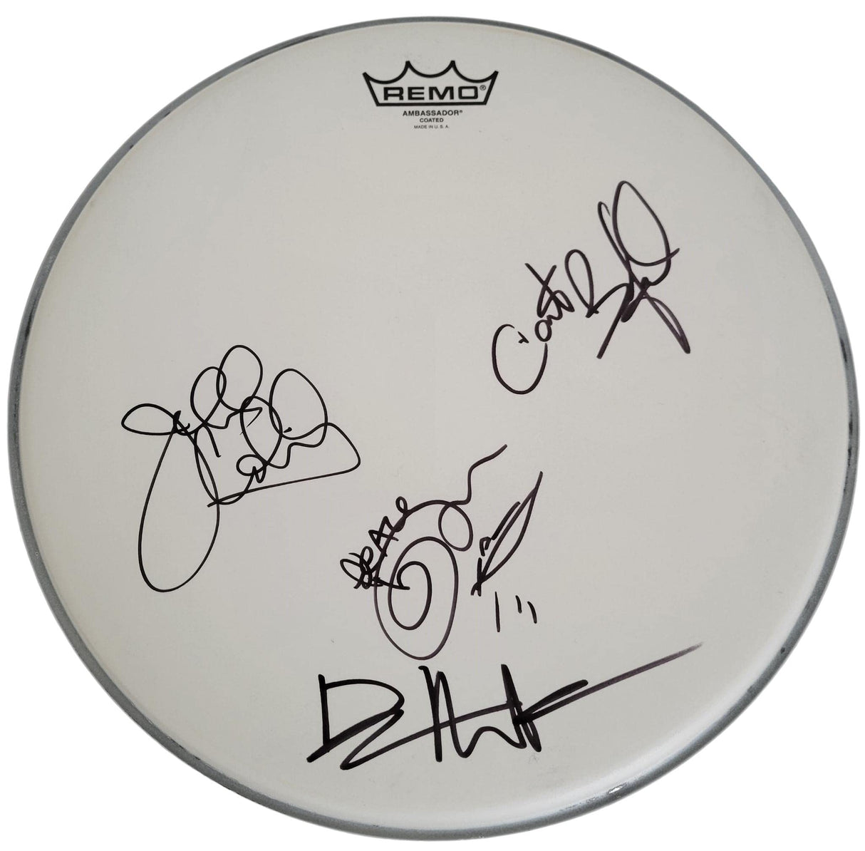 Dave Matthews Carter Beauford Tim Reynolds Jeff Coffin signed Drumhead COA proof Star