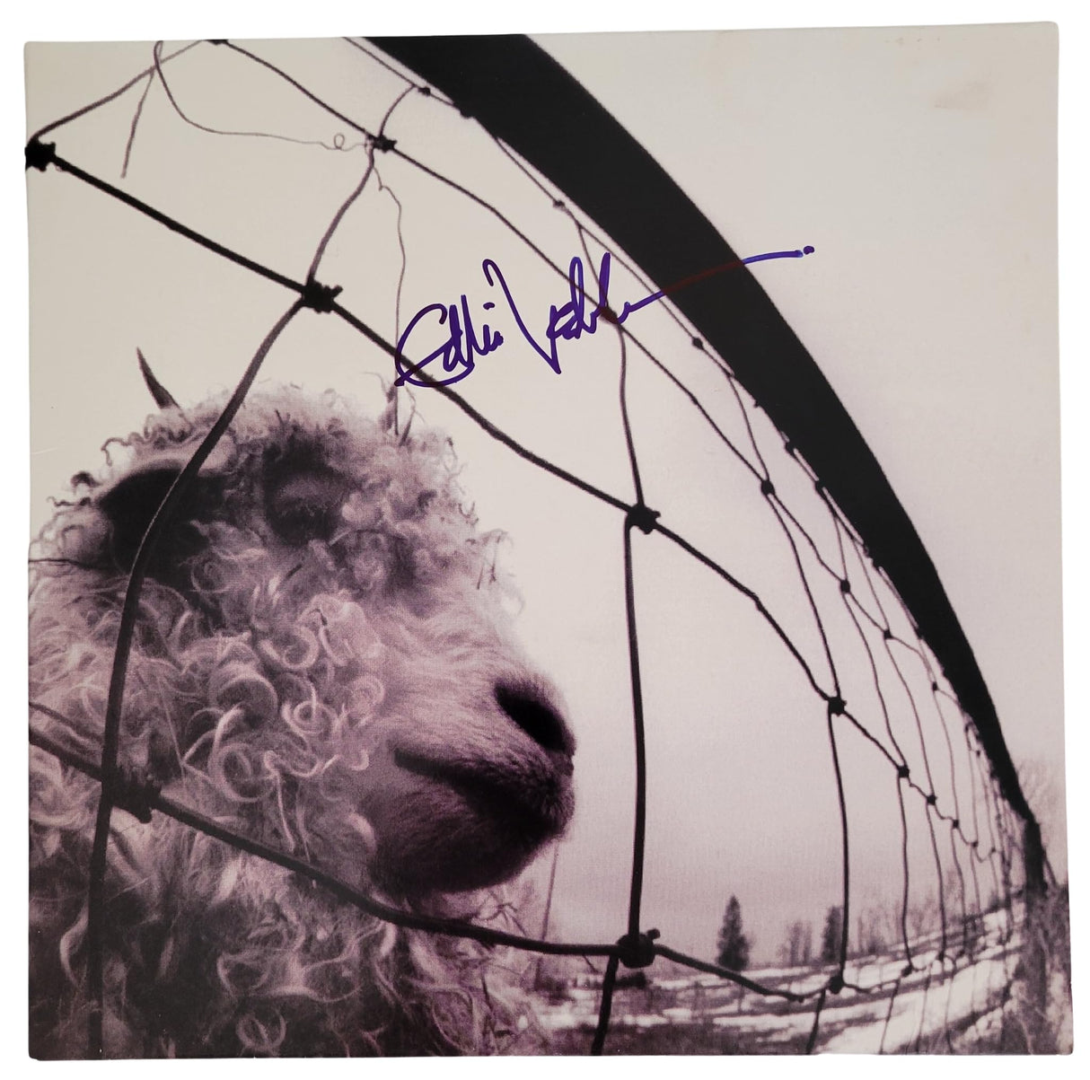 Eddie Vedder Signed Pearl Jam Vs. Album COA Proof Autographed Vinyl Record Beckett
