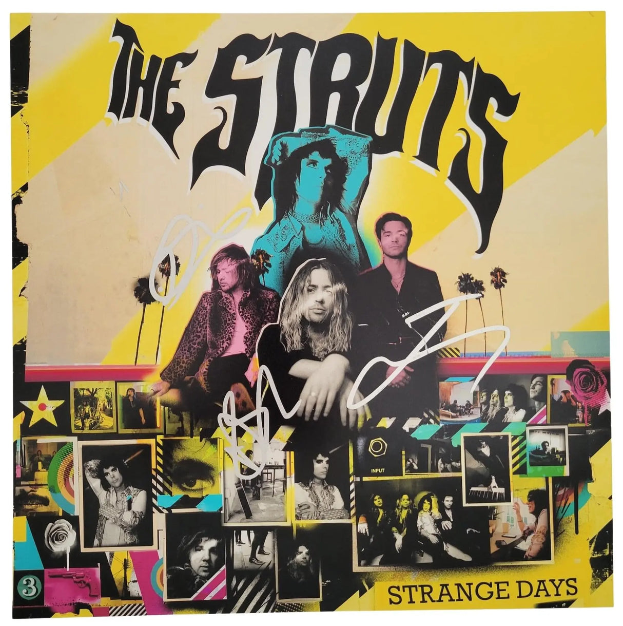 The Struts Band Signed 12x12 Strange Days Album Photo Proof COA Autographed star