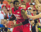 Greg Oden Signed 8x10 Photo Proof COA Autographed, Ohio State Buckeyes Basketball