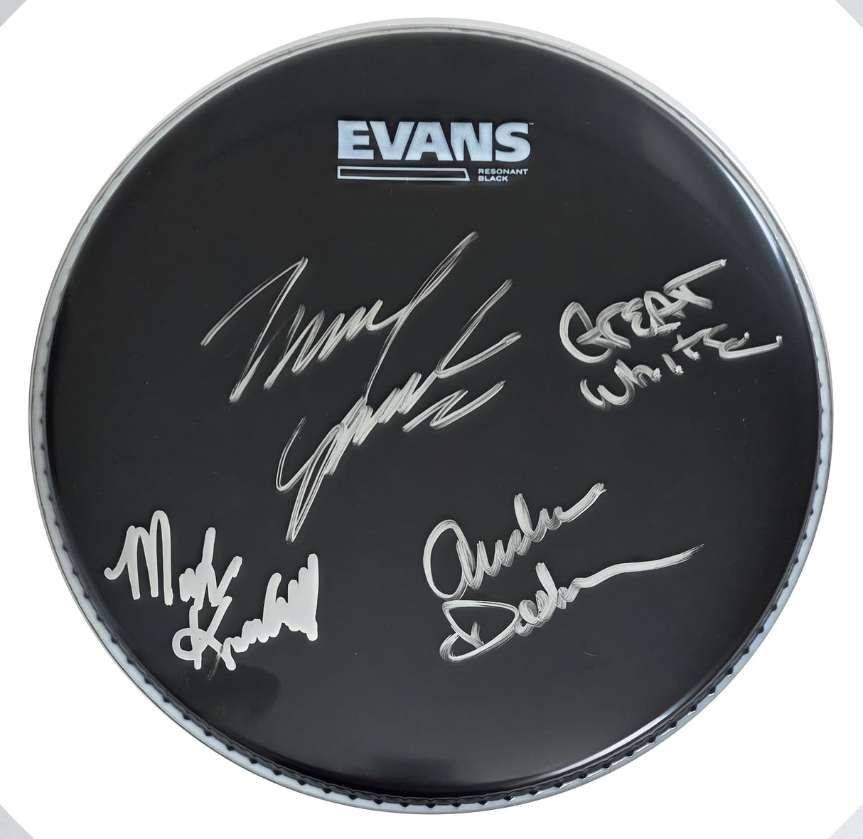 Great White Band Signed 10'' Drumhead COA Exact Proof Autographed Rock Band