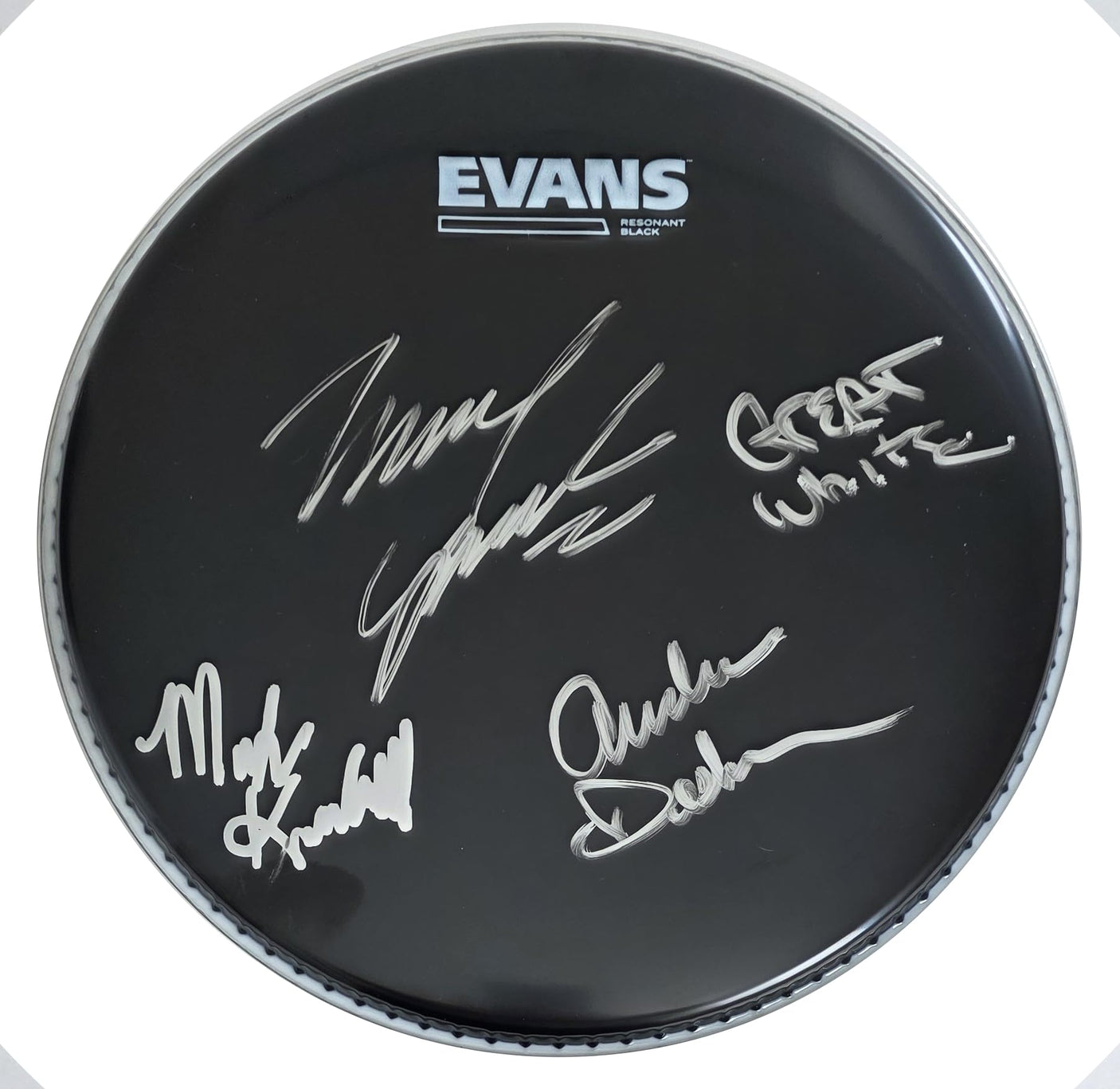 Great White Band Signed 10'' Drumhead COA Exact Proof Autographed Rock Band