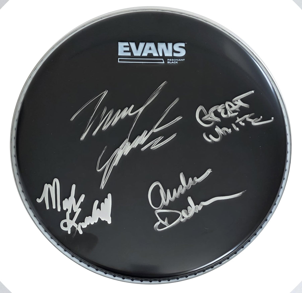 Great White Band Signed 10'' Drumhead COA Exact Proof Autographed Rock Band