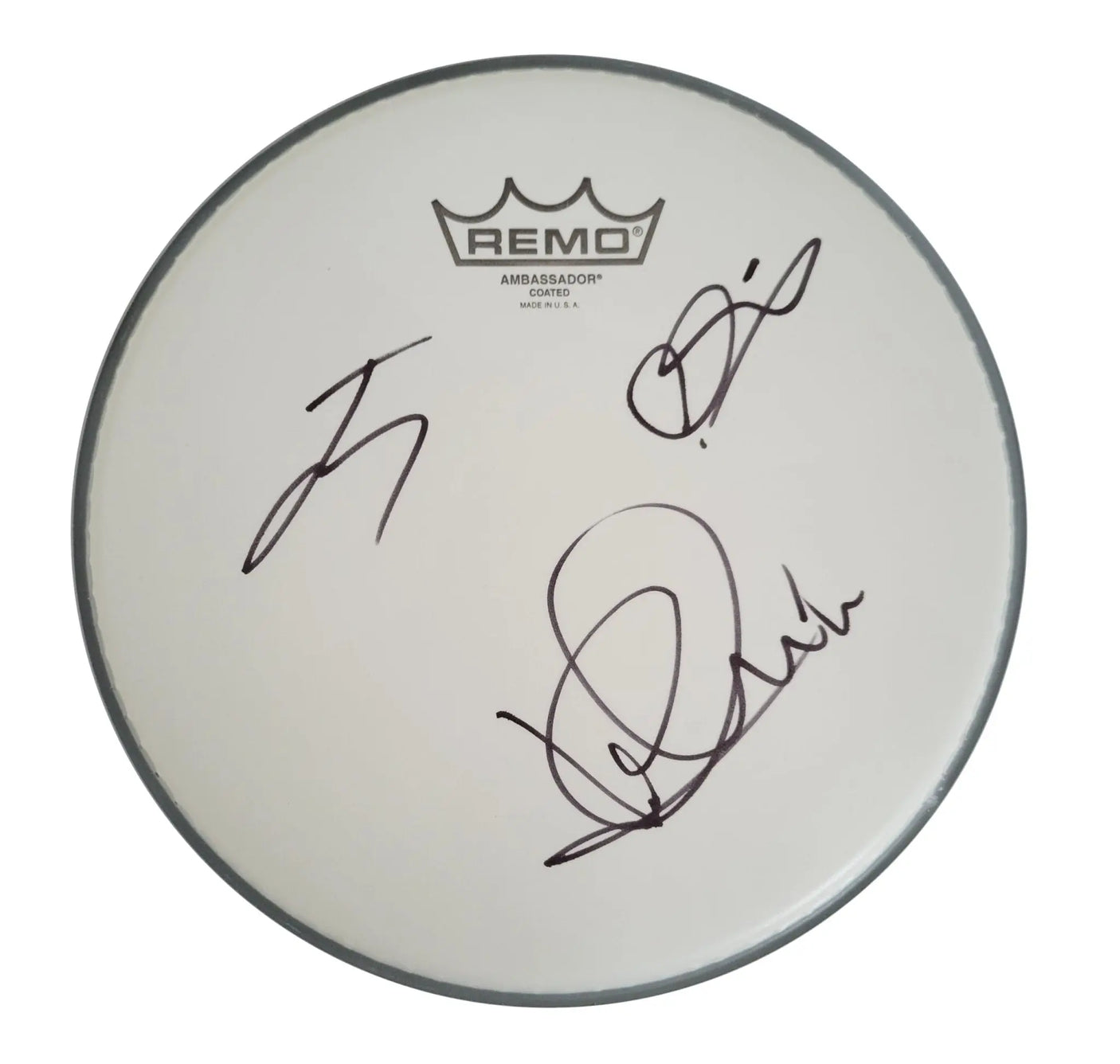 The Struts Band Signed 10'' Drumhead COA Proof Autographed Luke Spiller Jed Elliott Gethin Davies