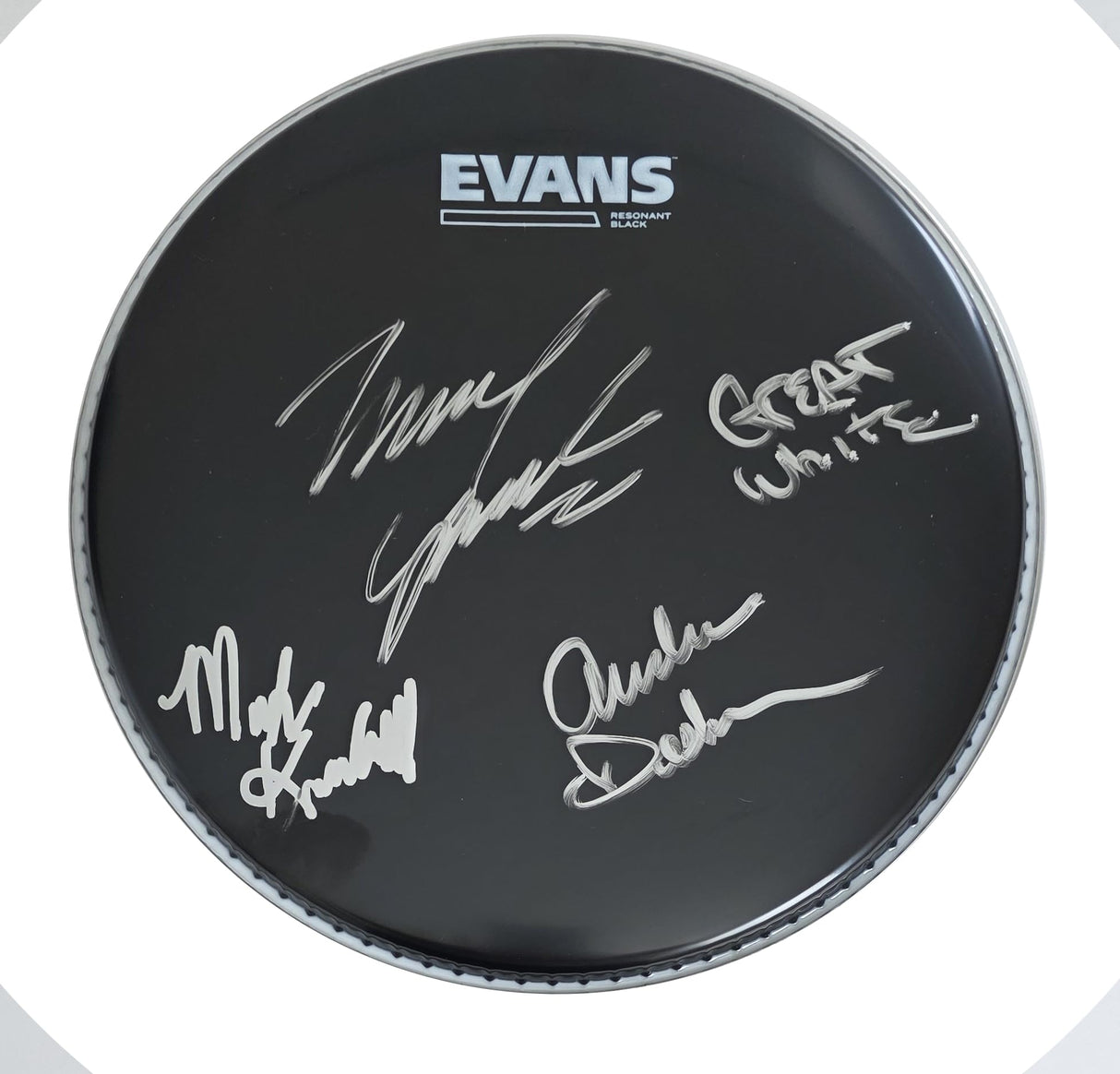 Great White Band Signed 10'' Drumhead COA Exact Proof Autographed Rock Band