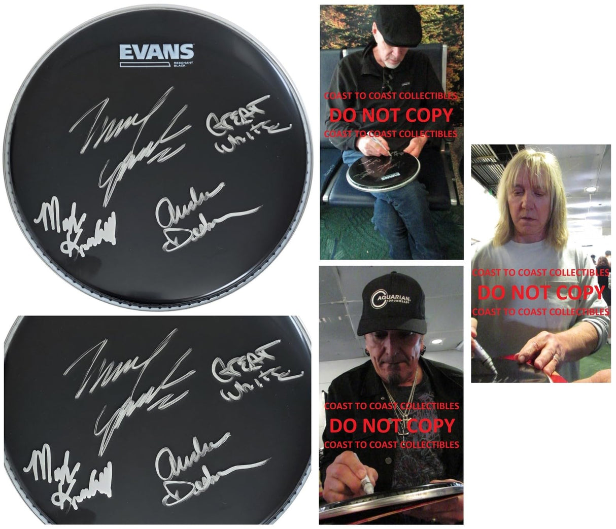 Great White Band Signed 10'' Drumhead COA Exact Proof Autographed Rock Band