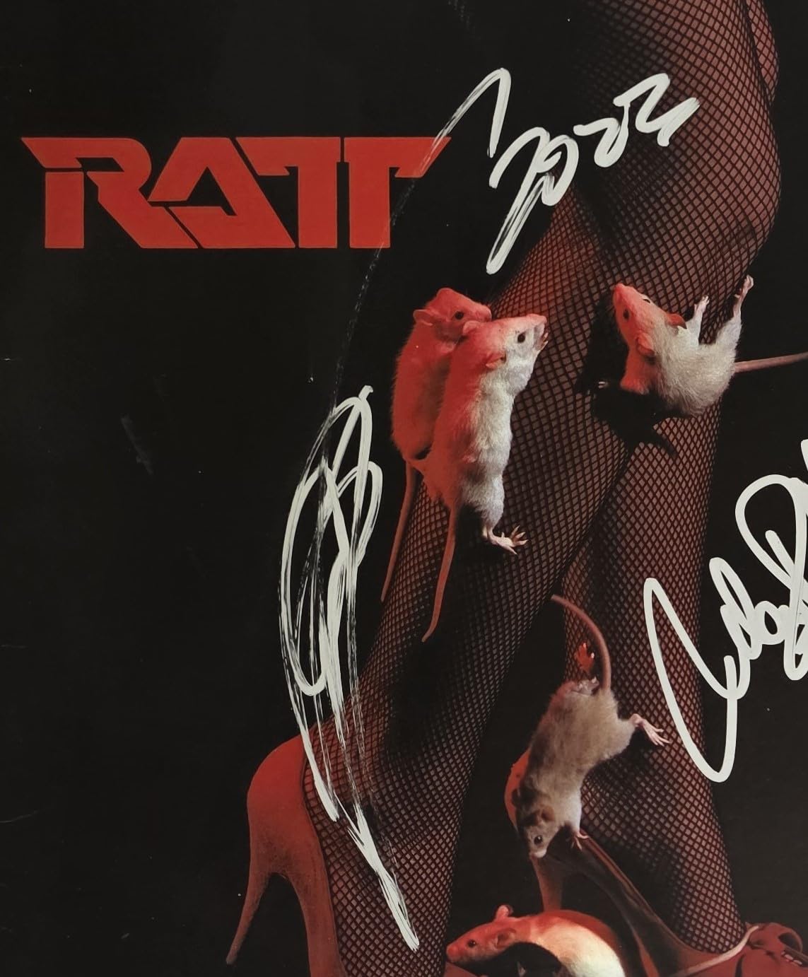 Stephen Pearcy Warren DeMartini Signed Ratt Album Proof COA Autographed Vinyl Record