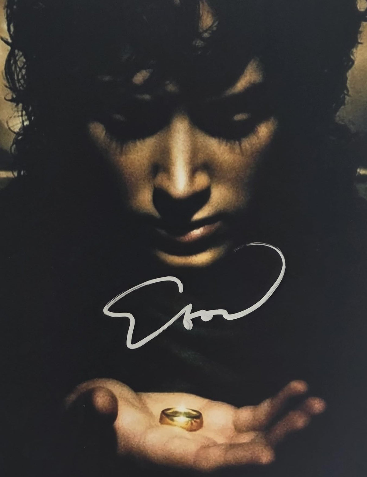 Elijah Wood Signed Lord Of The Rings 12x18 Photo Proof Autographed Frodo Baggins Poster Star