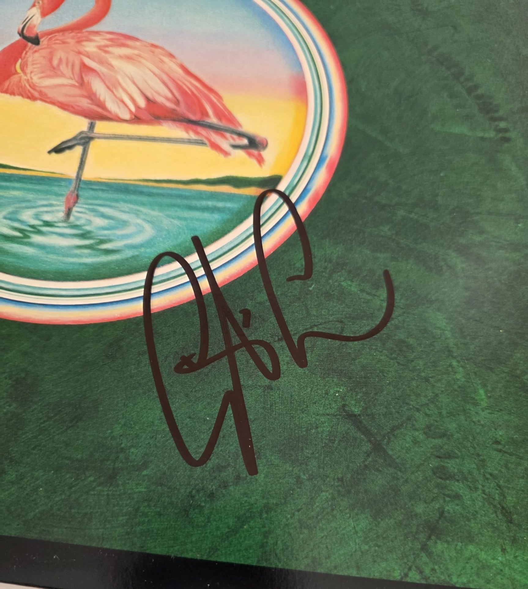 Christopher Cross Signed Album COA Exact Proof Autographed Vinyl Record Sailing