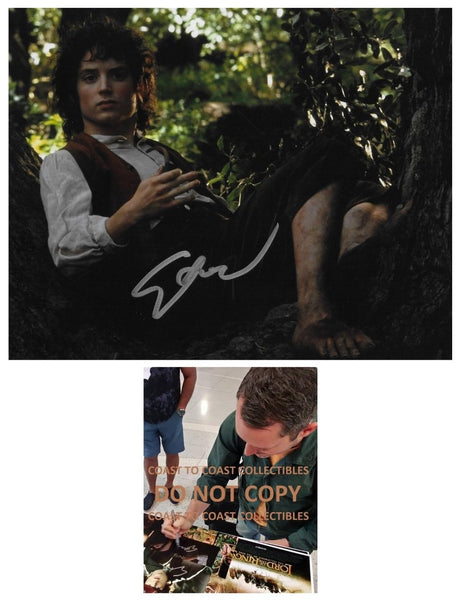 Elijah Wood Signed Lord Of The Rings 8x10 Photo COA Exact Proof Autographed.. Star