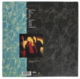 Krist Novoselic Signed Nirvana Nevermind Album COA Proof Autographed Vinyl Record Butch Vig