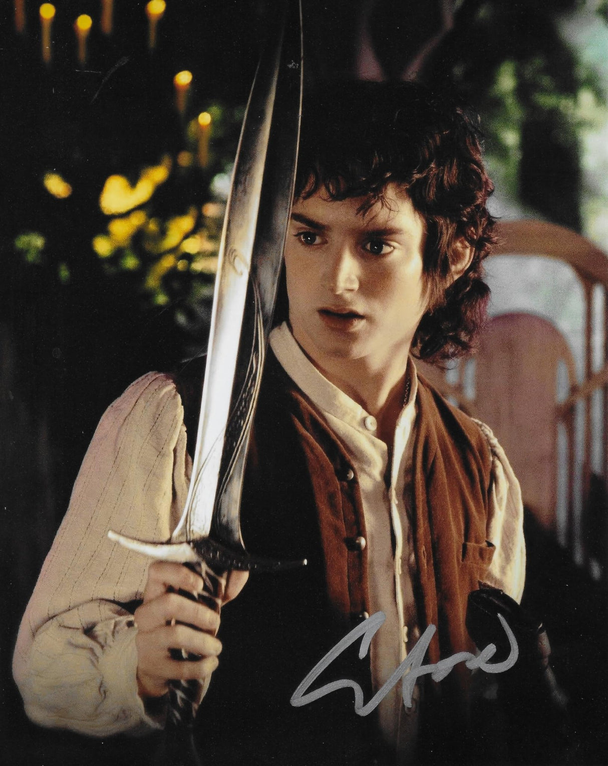 Elijah Wood Signed Lord Of The Rings 8x10 Photo COA Exact Proof Autographed, Star.