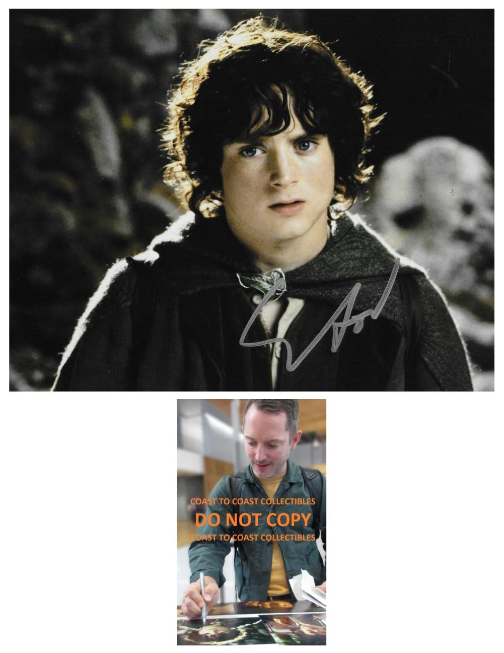 Elijah Wood Signed Lord Of The Rings 8x10 Photo COA Exact Proof Autographed, Star