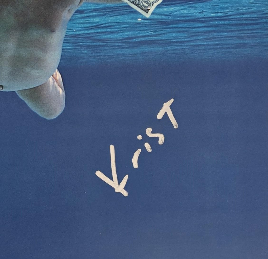 Krist Novoselic Signed Nirvana Nevermind Album COA Proof Autographed Vinyl Record Butch Vig