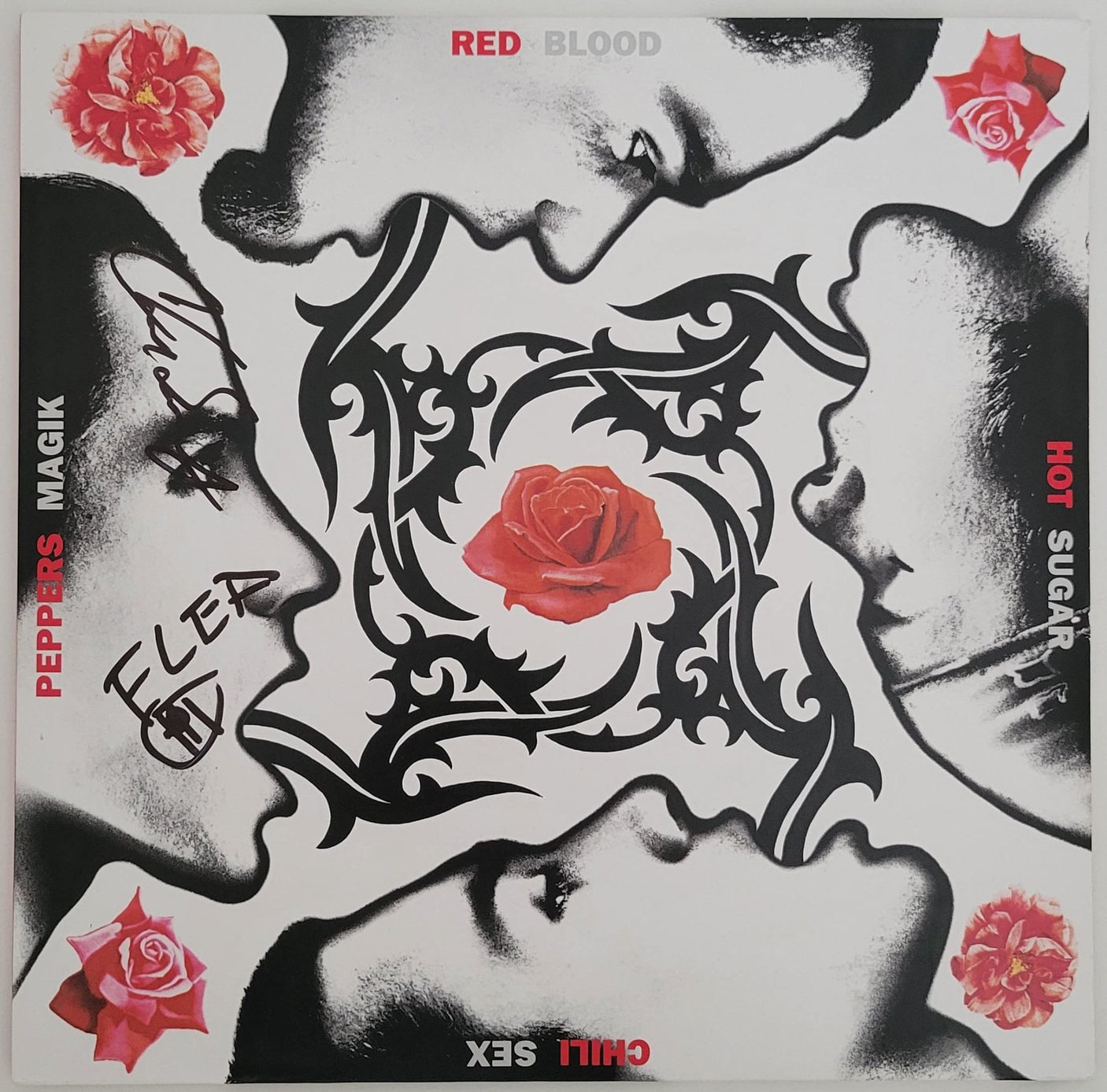 Flea & Chad Smith signed Chili Peppers Blood Sugar Sex Magik album proof STAR