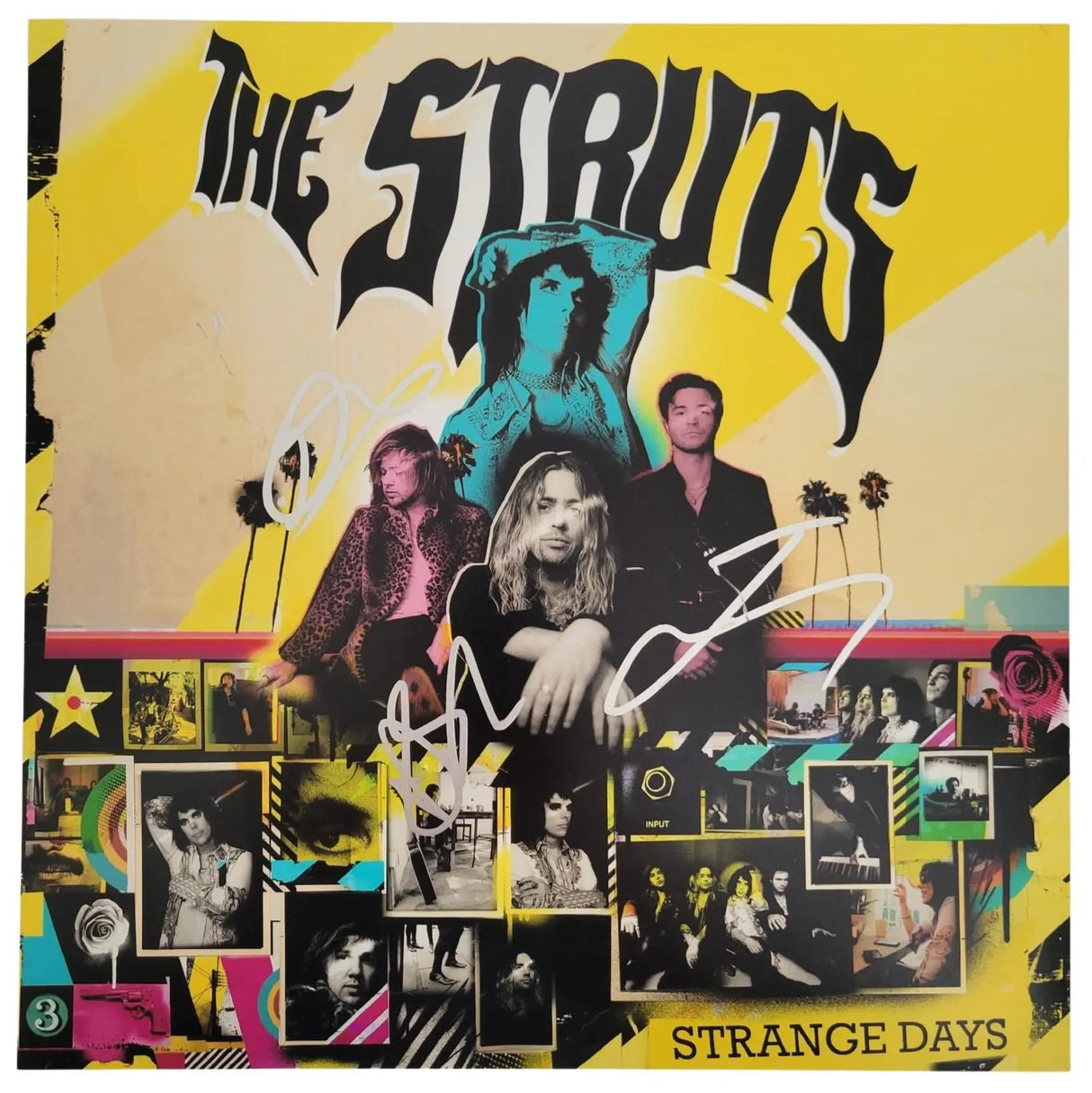 The Struts Band Signed 12x12 Strange Days Album Photo Proof COA Autographed star