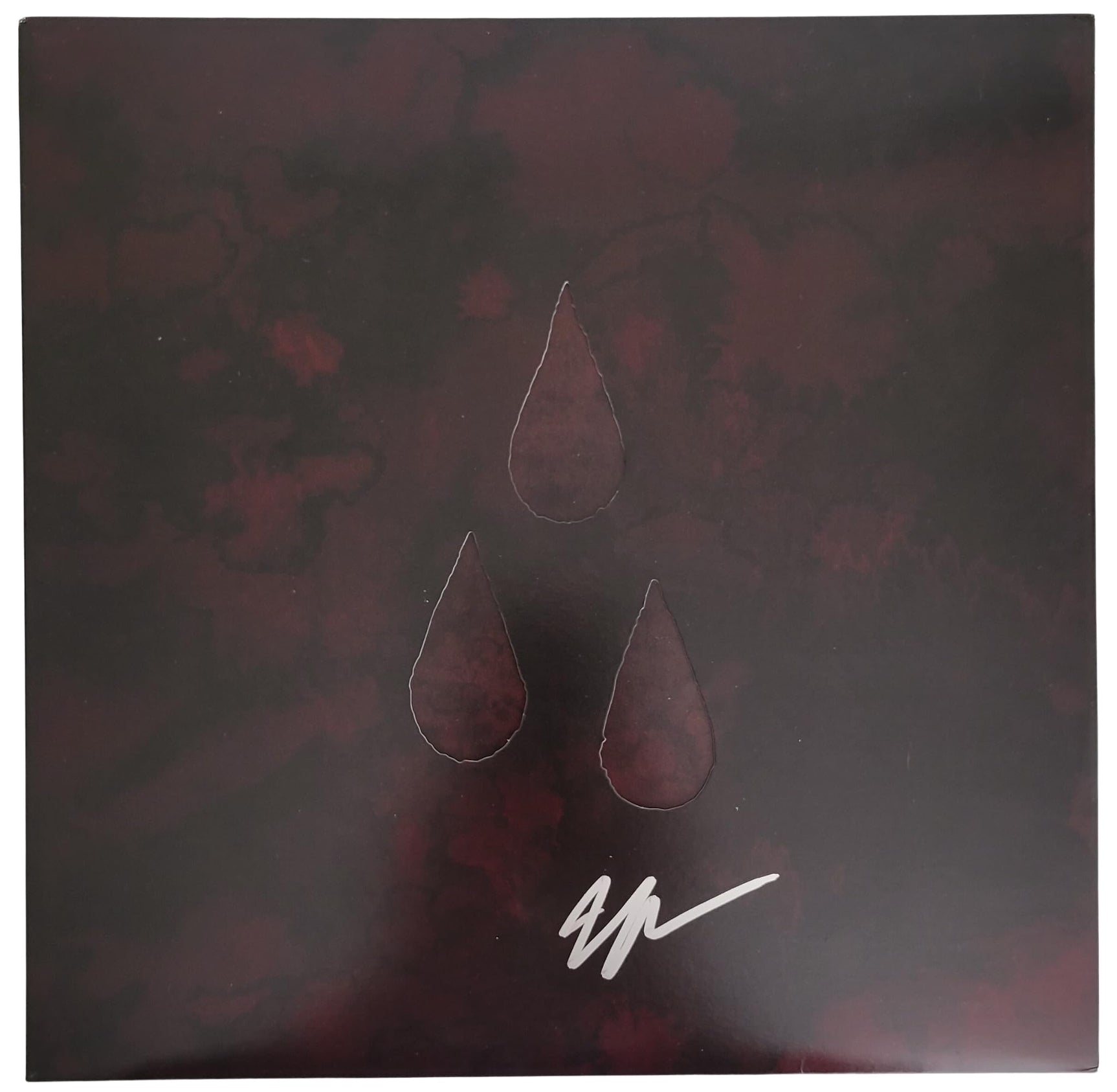 Jade Puget Signed AFI The Blood Album Exact Proof COA Autographed Vinyl Record