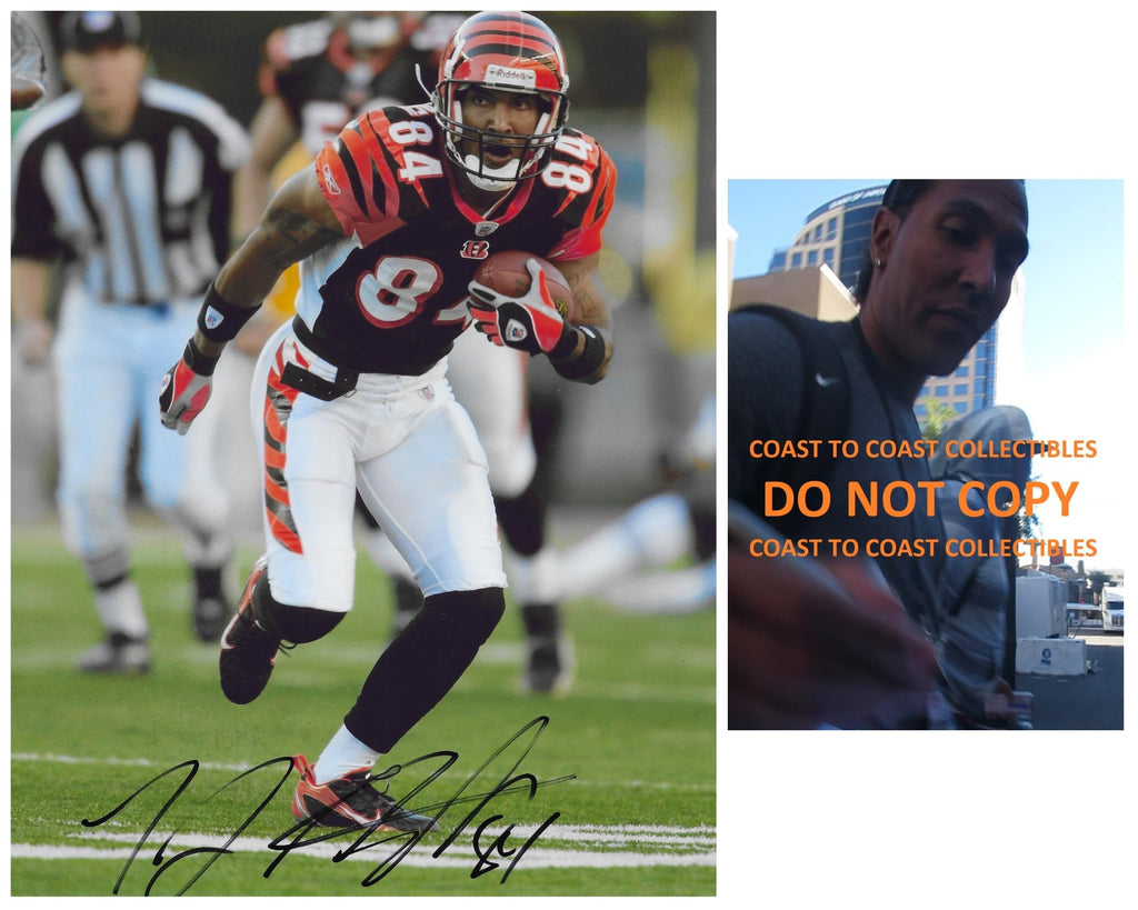 TJ Houshmandzadeh signed Cincinnati Bengals 8x10 football photo Proof COA autogarphed,