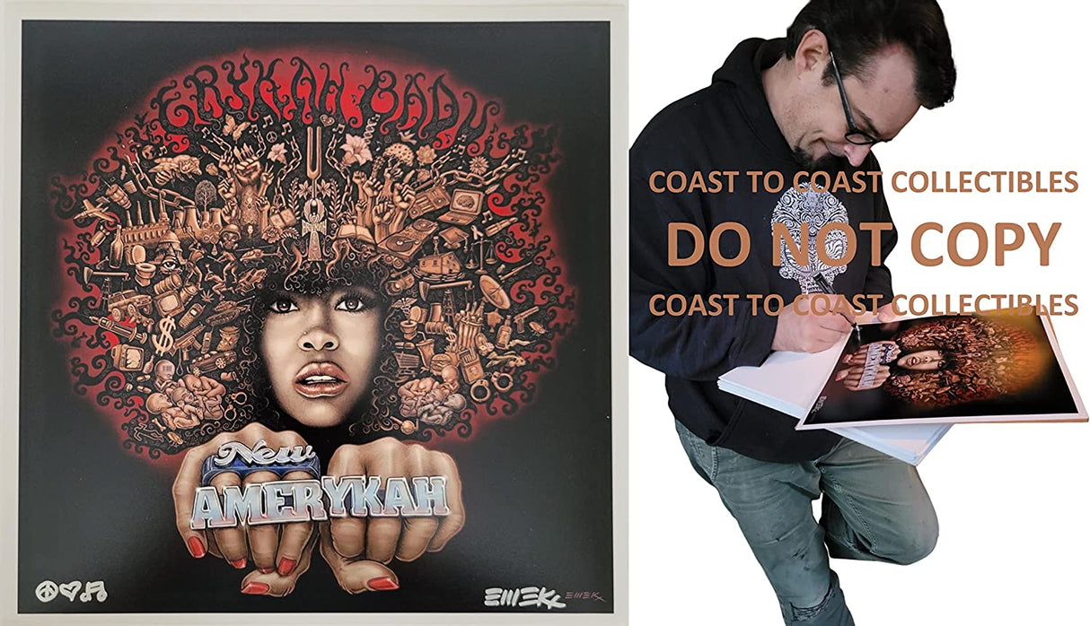 Emek Golan signed New Amerykah part one 12x12 album photo COA proof autographed STAR