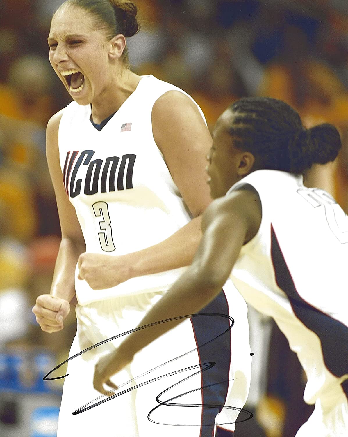 Diana Taurasi signed UConn Huskies basketball 8x10 photo COA proof