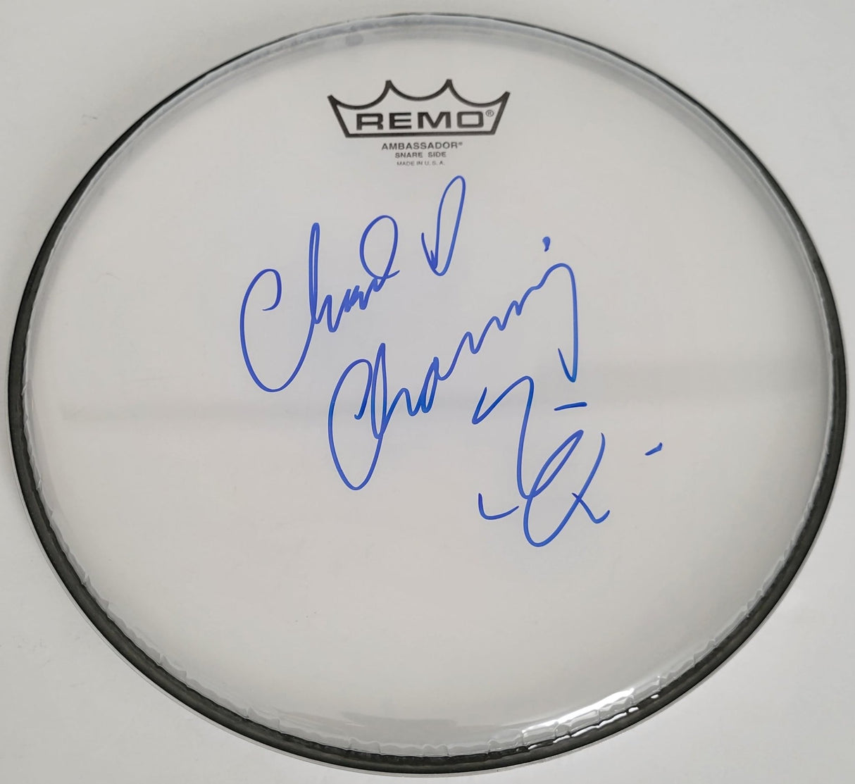 Chad Channing Nirvana drummer signed Drumhead COA exact proof autographed STAR