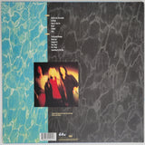 Krist Novoselic signed Nirvana Nevermind album, vinyl COA proof autographed STAR