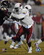 Bertrand Berry Arizona Cardinals signed autographed 8x10 Photo COA