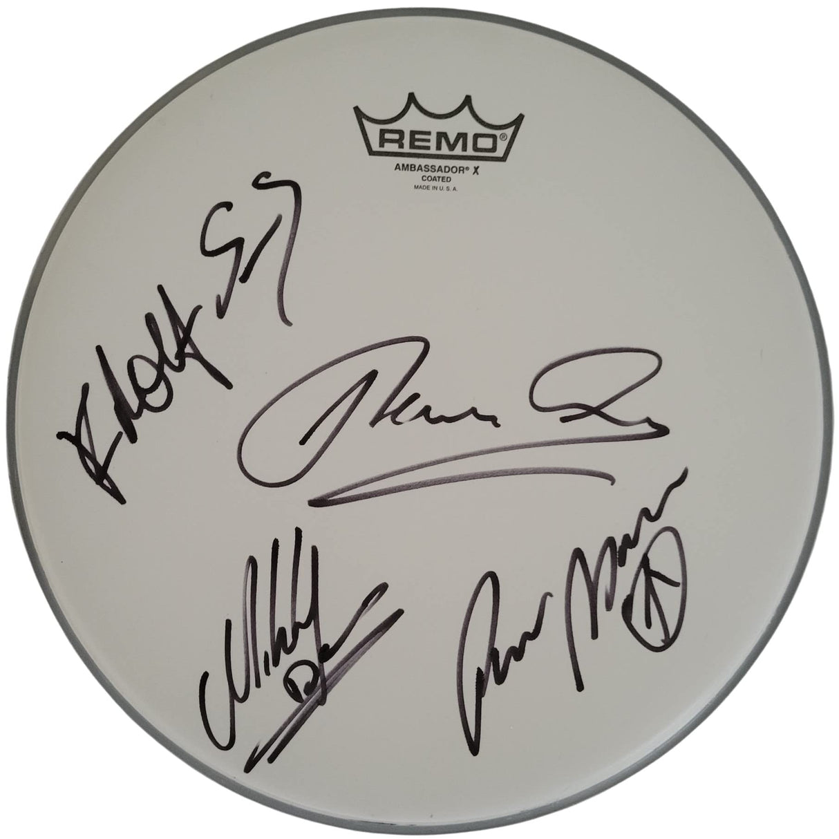 Scorpions band signed 12'' Drumhead Klaus Meine Rudolf Schenker COA exact proof star