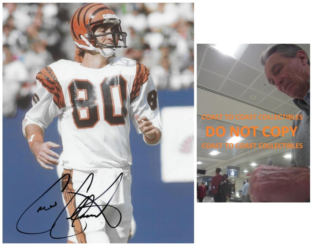 Cris Collinsworth Signed Cincinnati Bengals Football 8x10 Photo COA Proof Autographed.