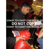 Amir Khan, World champion Boxer, signed, autographed, 8x10 photo - COA and proof photo included.