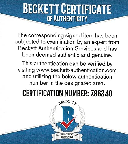 Beck Hansen signed 11x14 photo Loser Up all night Proof Beckett COA autograph STAR