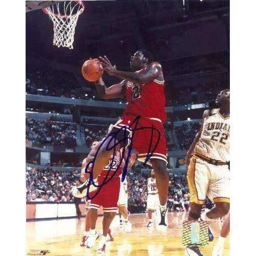 Elton Brand, Chicago Bulls, Duke Blue Devils, Signed, Autographed, 8x10, Photo, Coa, Rare Hard to Find Photo