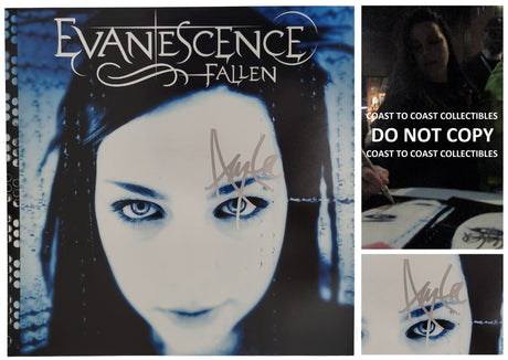 Amy Lee signed Evanescence Fallen 12x12 Photo COA exact proof autographed STAR